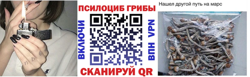 Галлюциногенные грибы прущие грибы  как найти наркотики  Хилок 