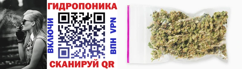 где продают наркотики kraken вход МАРИХУАНА Bruce Banner Хилок